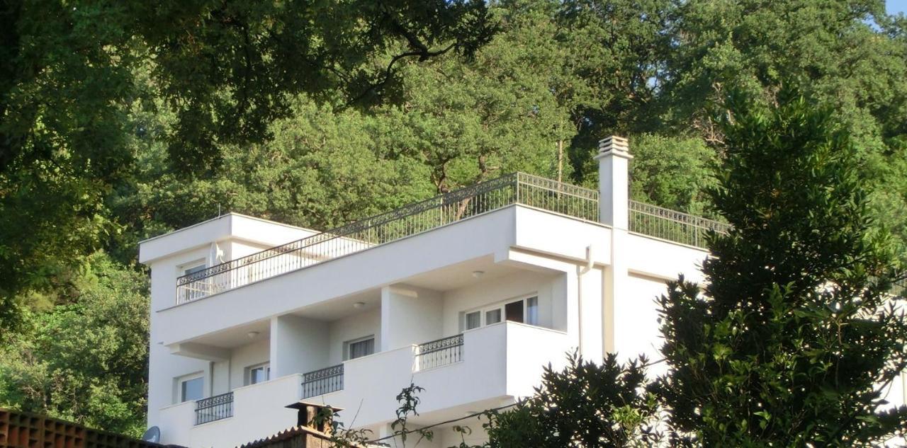 Villa Slovenika Будва Екстериор снимка